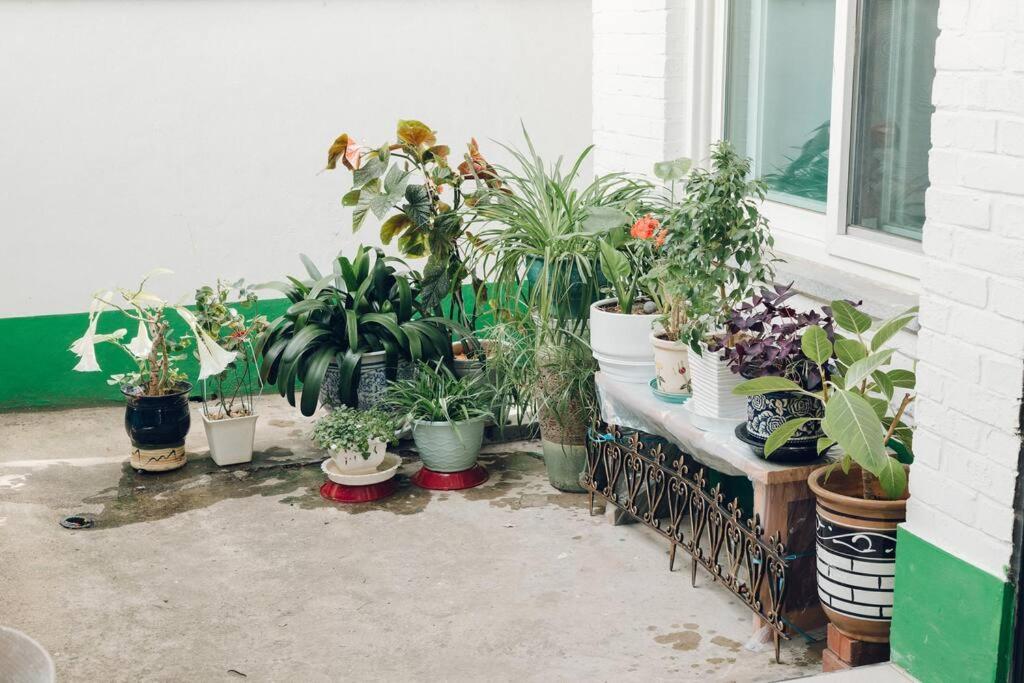 Hongdae Luxury: Family-friendly Private House With Open Balcony