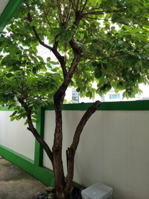 Villa Hongdae Luxury: Family-friendly Private House With Open Balcony Seoul