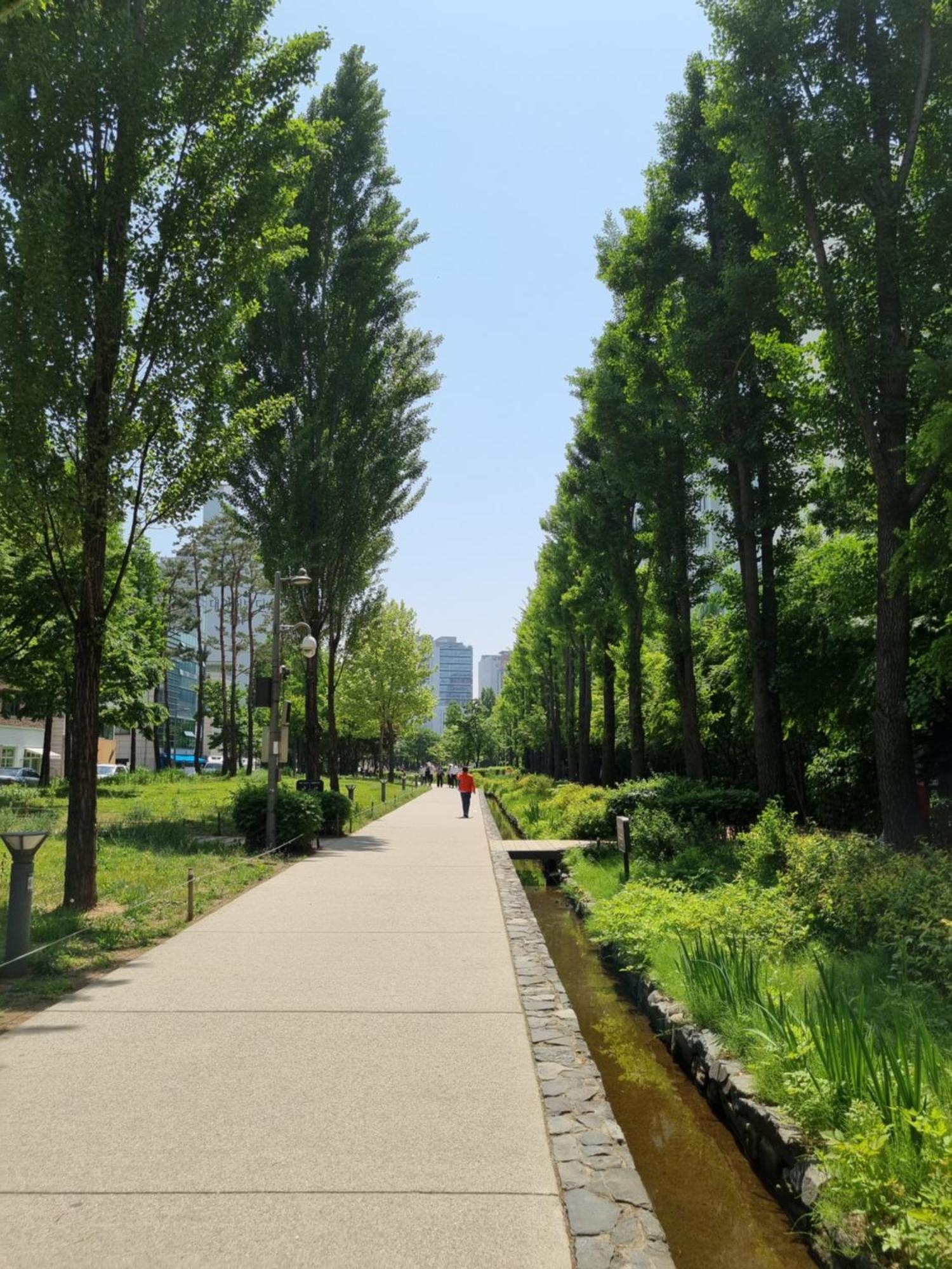 Hongdae Luxury: Family-friendly Private House With Open Balcony Villa Seoul