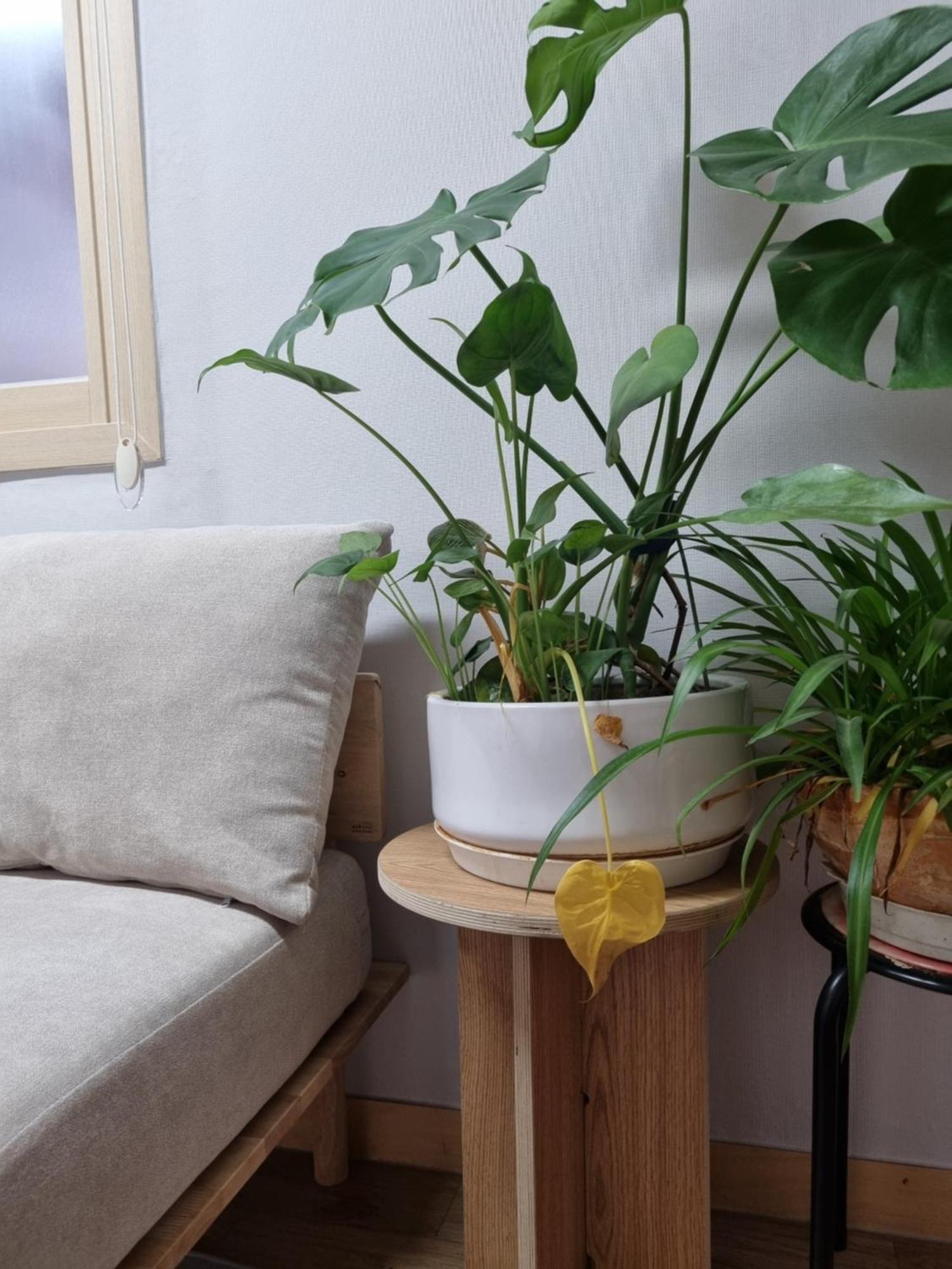 Villa Hongdae Luxury: Family-friendly Private House With Open Balcony *