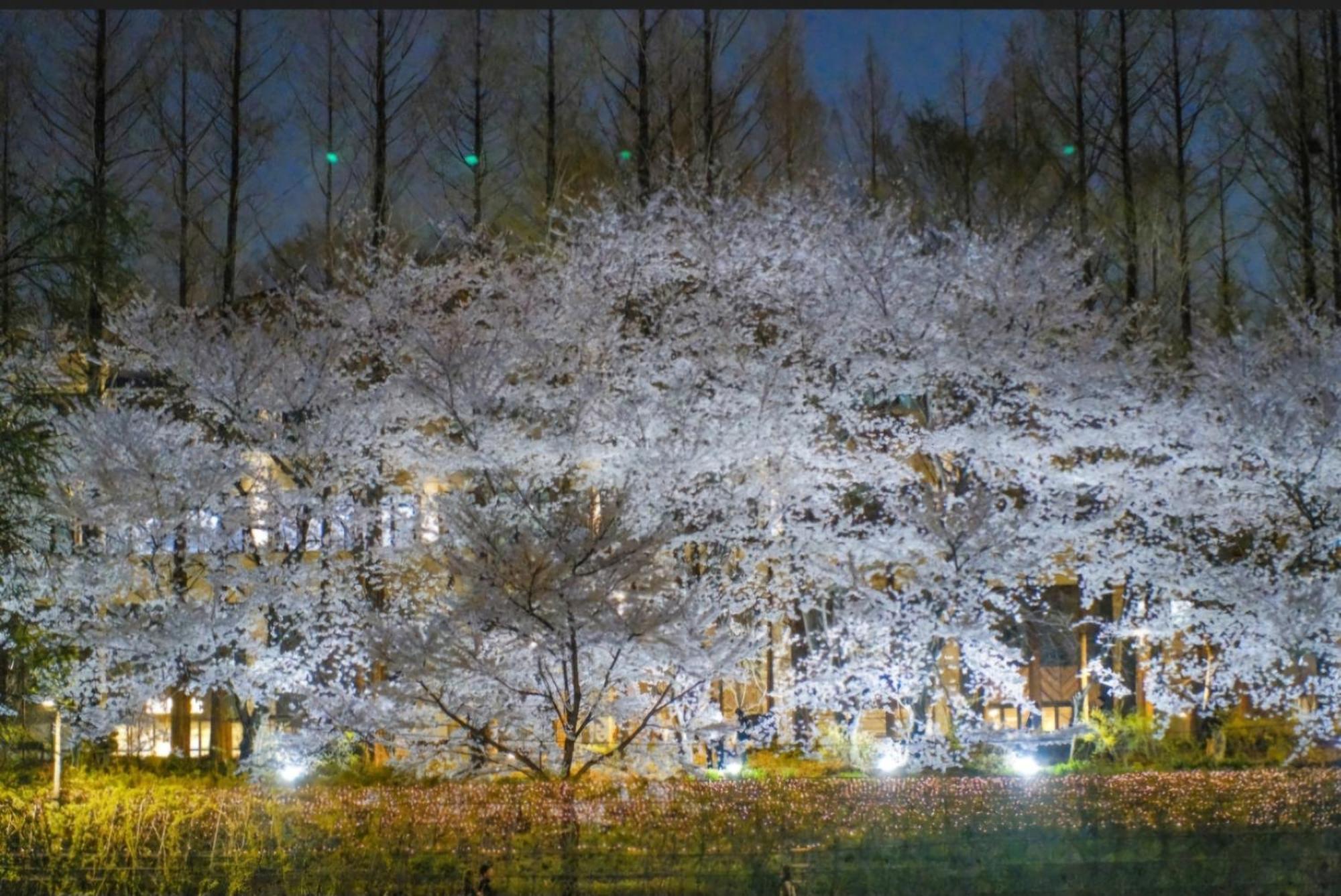 Hongdae Luxury: Family-friendly Private House With Open Balcony *