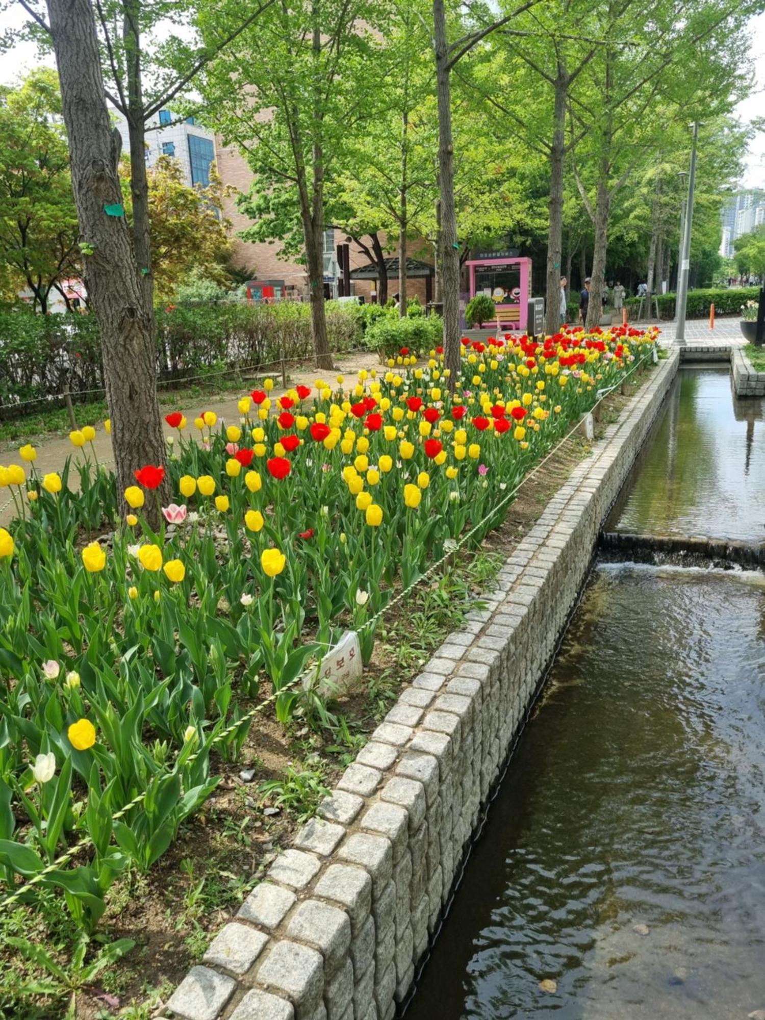 Hongdae Luxury: Family-friendly Private House With Open Balcony Villa *